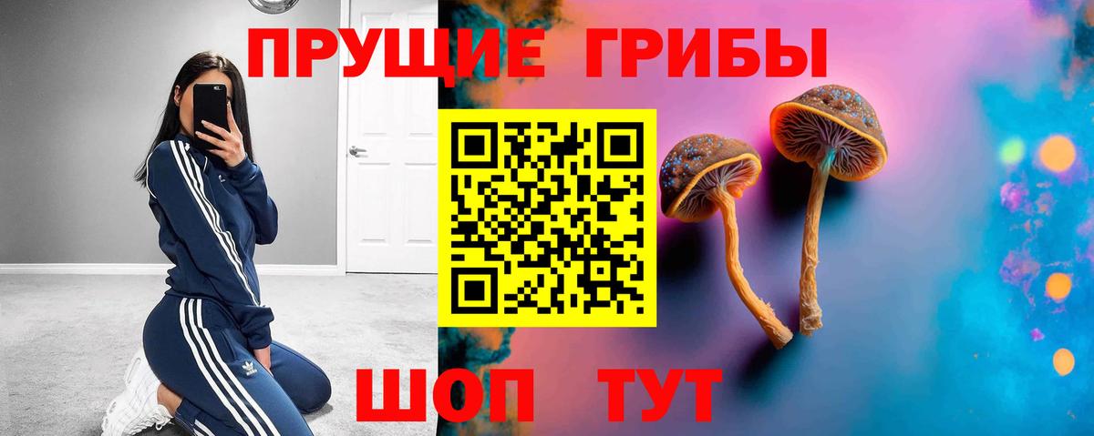 Михайловск  Галлюциногенные грибы Psilocybe  Вход с VPN 